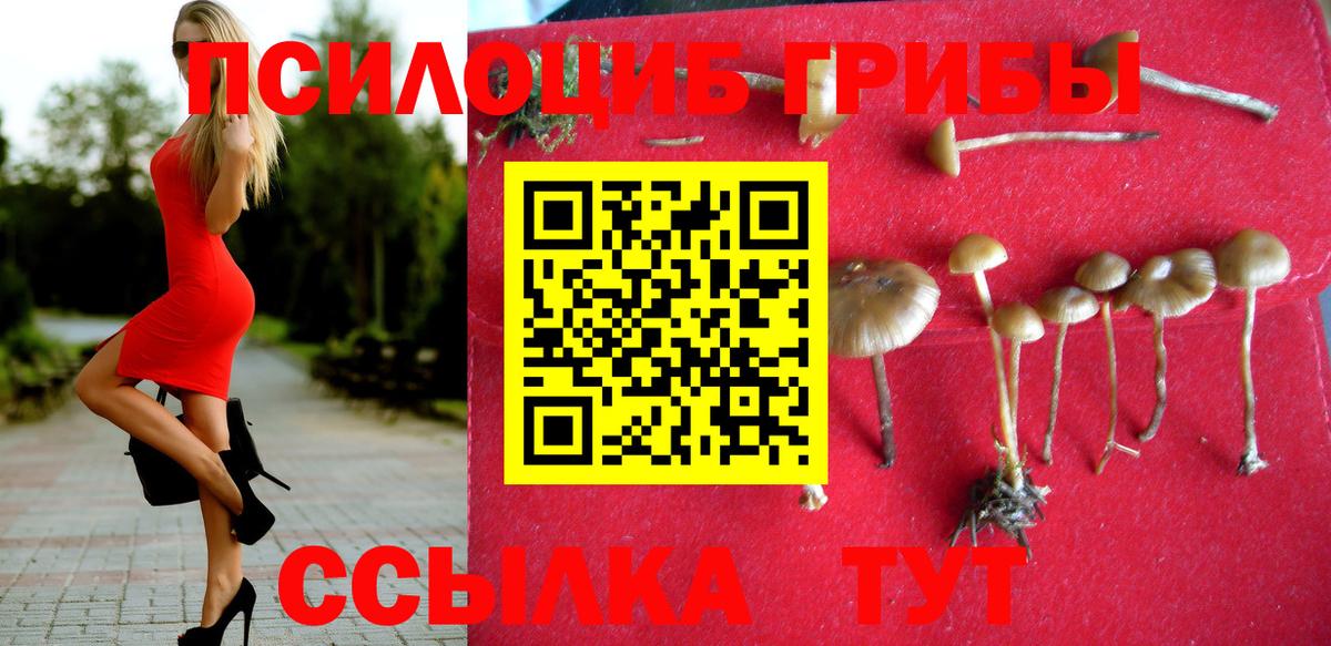 Железногорск  Галлюциногенные грибы GOLDEN TEACHER  Вход с VPN  Галлюциногенные грибы ЛСД 